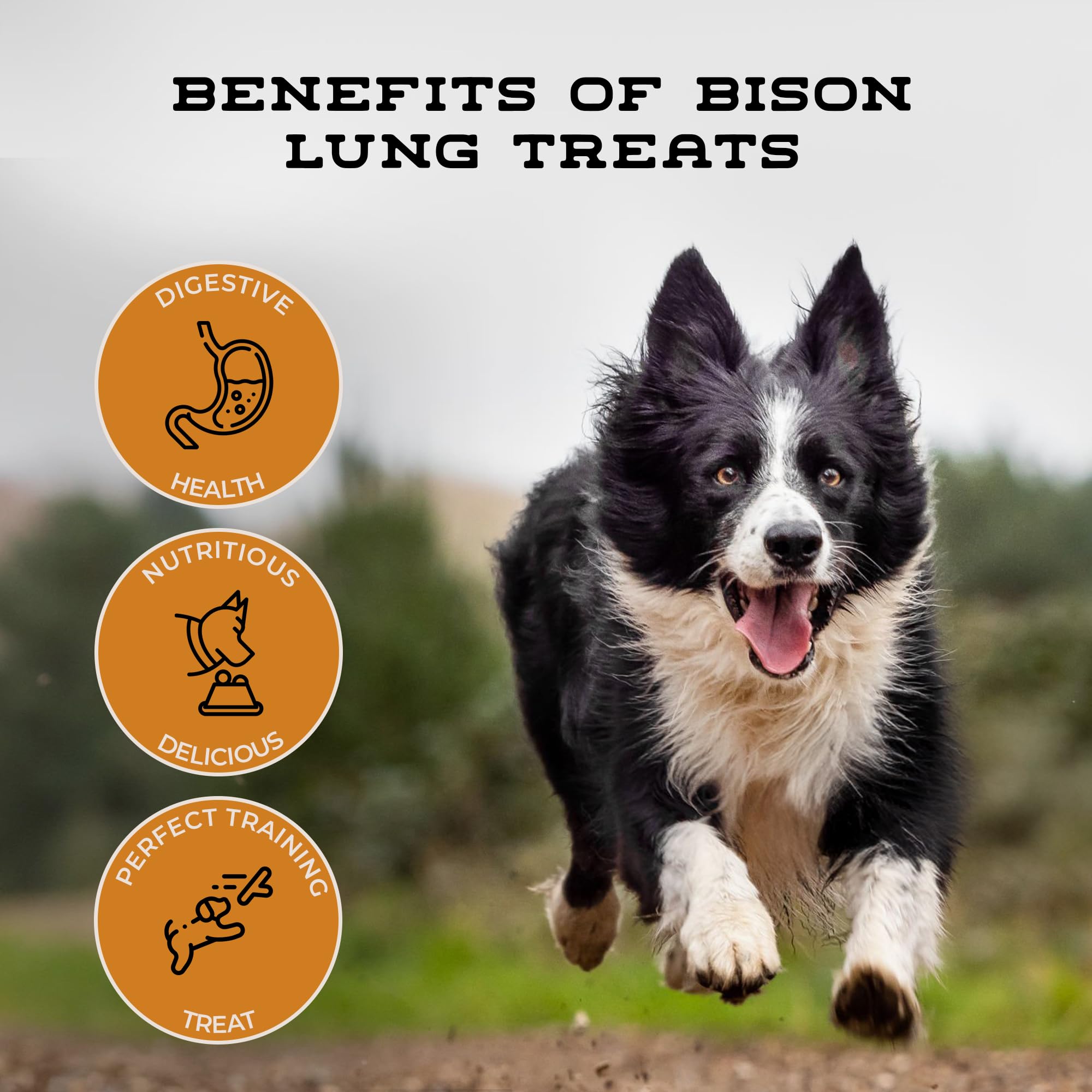 Boulder Dog Food Company Bison Cubes USA-made, ethically sourced from free-range bison.