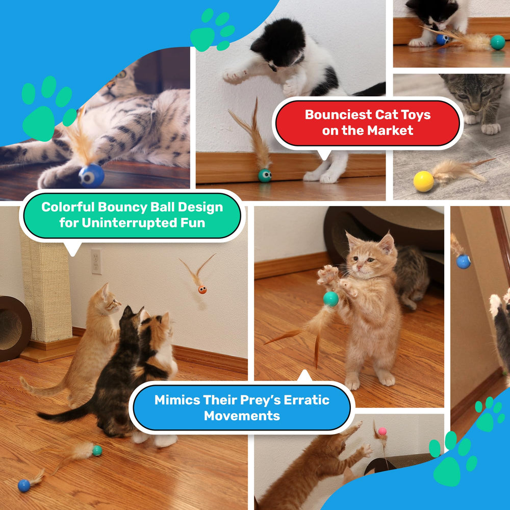 Bouncy Tails cat ball toy is portable for play anywhere around the home.
