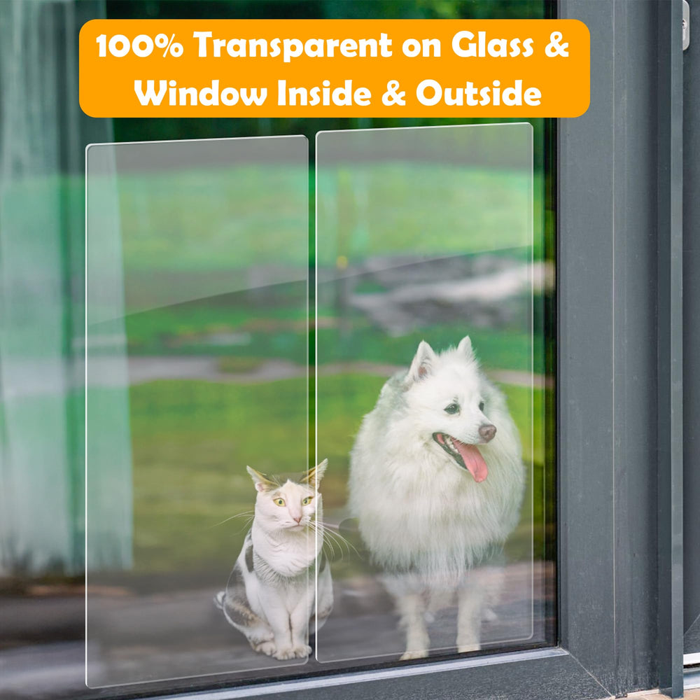 BouncyBarks transparent scratch guard on wall for pet protection.