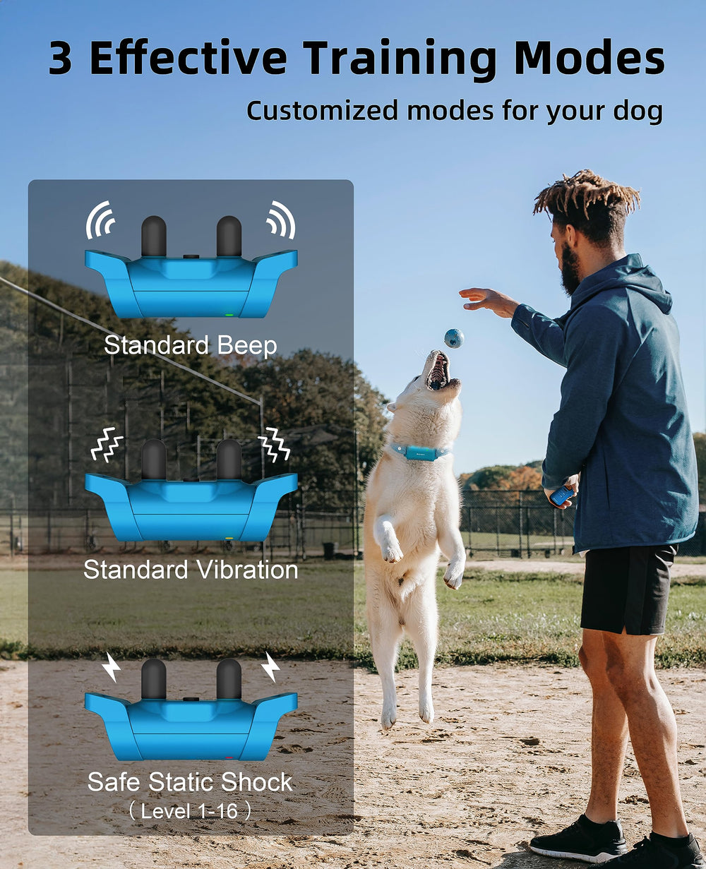 BOUSNIC adjustable collar fits dogs 8-120 lbs for comfort