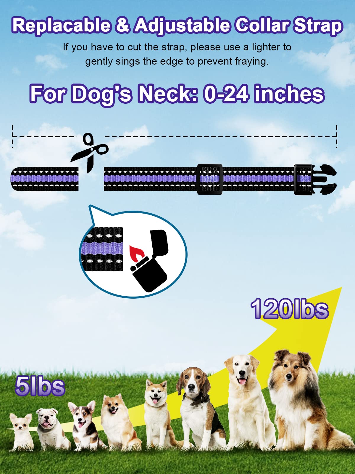 BOUSNIC compact receiver fits dogs of all sizes comfortably.