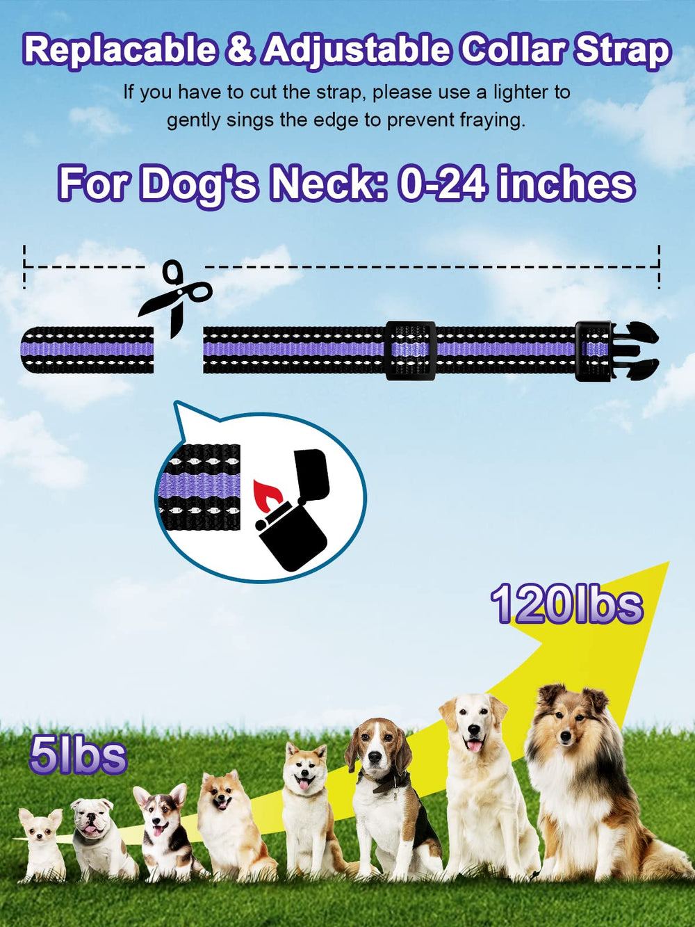 BOUSNIC compact receiver fits dogs of all sizes comfortably.