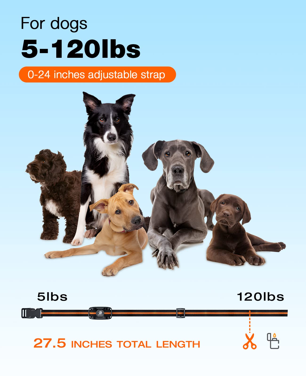 Vibration settings displayed on Bousnic dog training collar.