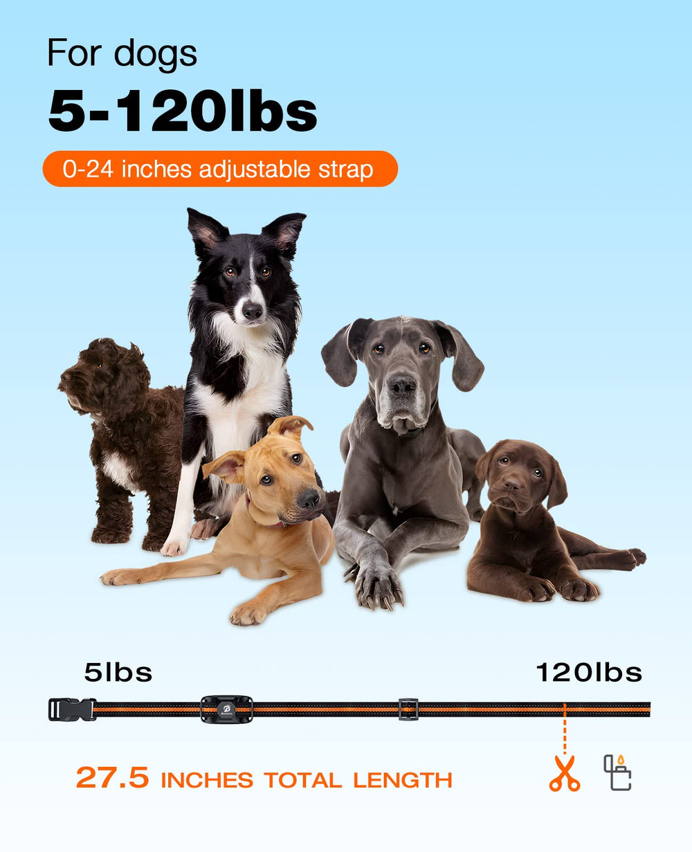 Vibration settings displayed on Bousnic dog training collar.