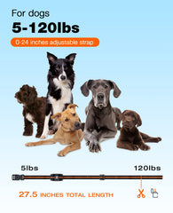 Vibration settings displayed on Bousnic dog training collar.
