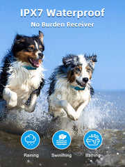 BOUSNIC dual-channel system allowing training two dogs independently