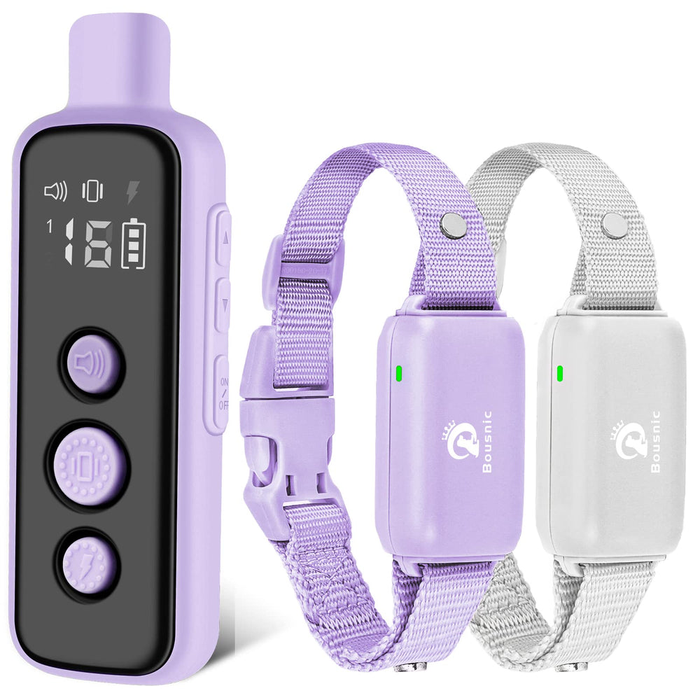 BOUSNIC dog training collar receiver on a medium dog for reliable corrections during walks