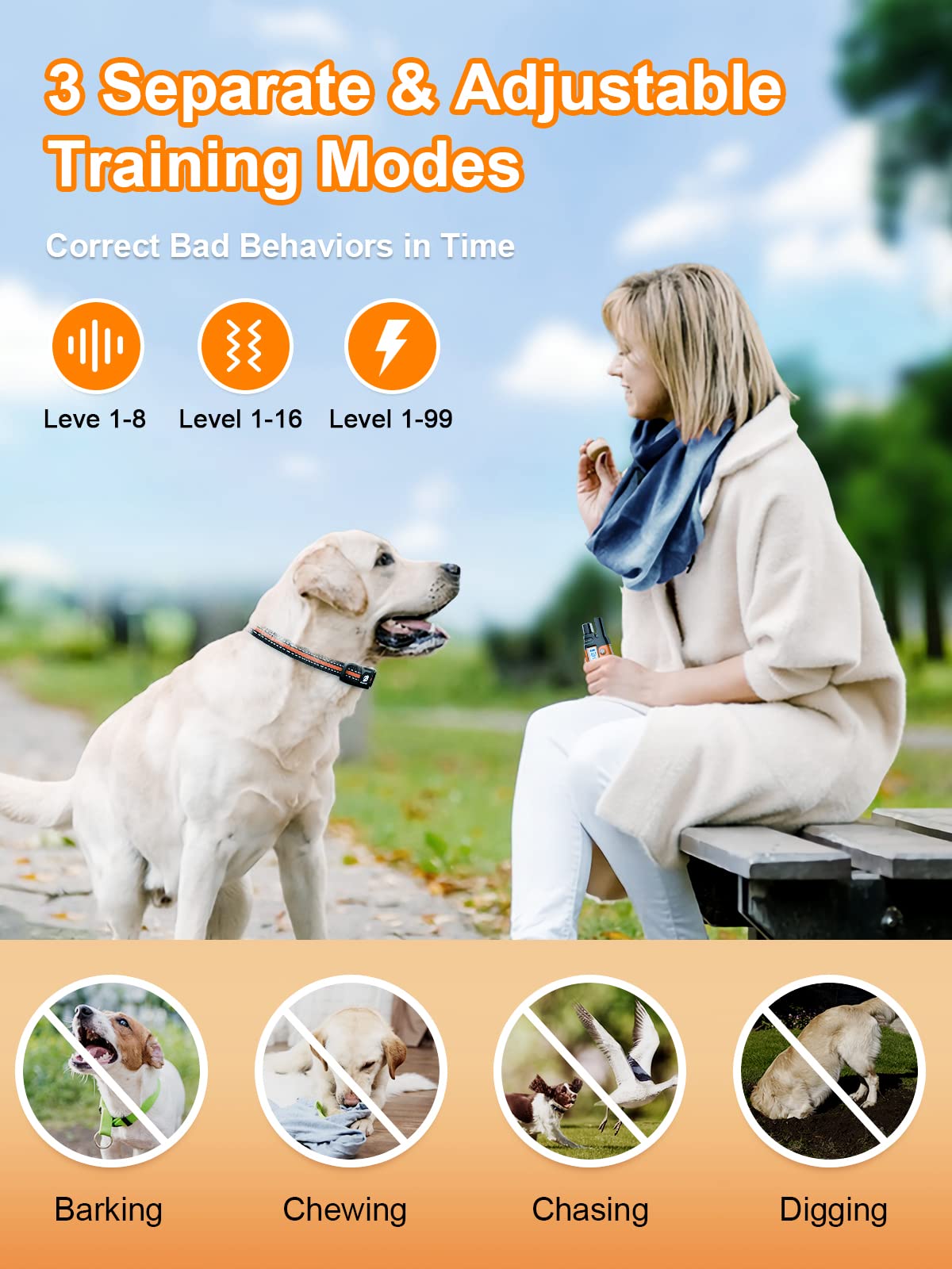 Bousnic dual-channel remote enables simultaneous two-dog control.