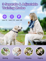 BOUSNIC dual-channel remote supports training two dogs simultaneously.