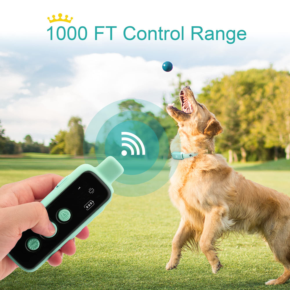 BOUSNIC dual-channel setup – supports training two dogs