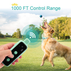 BOUSNIC dual-channel setup – supports training two dogs