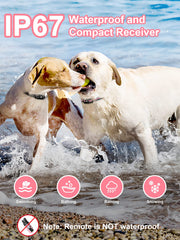BOUSNIC dual-channel switch enables independent training for two dogs.