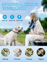 BOUSNIC dual-channel remote enabling training two dogs simultaneously