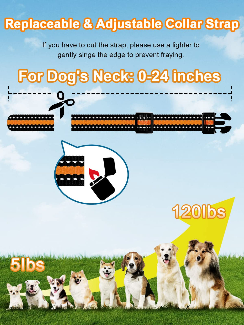 Bousnic quick-charge collar keeps you powered during outings.