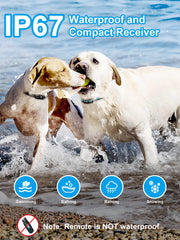BOUSNIC IP67 waterproof collar suitable for rain or swimming
