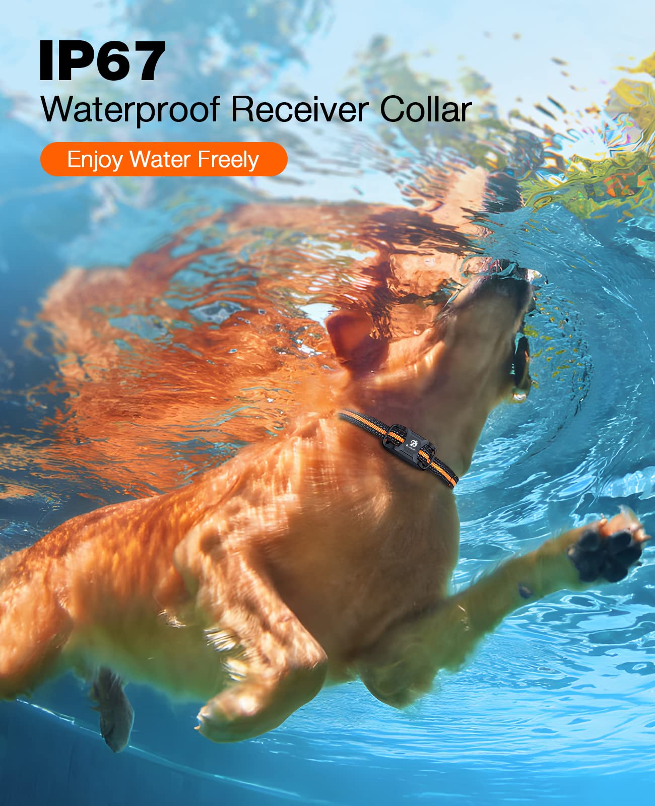 IP67 waterproof receiver protects Bousnic dog collar in wet conditions.