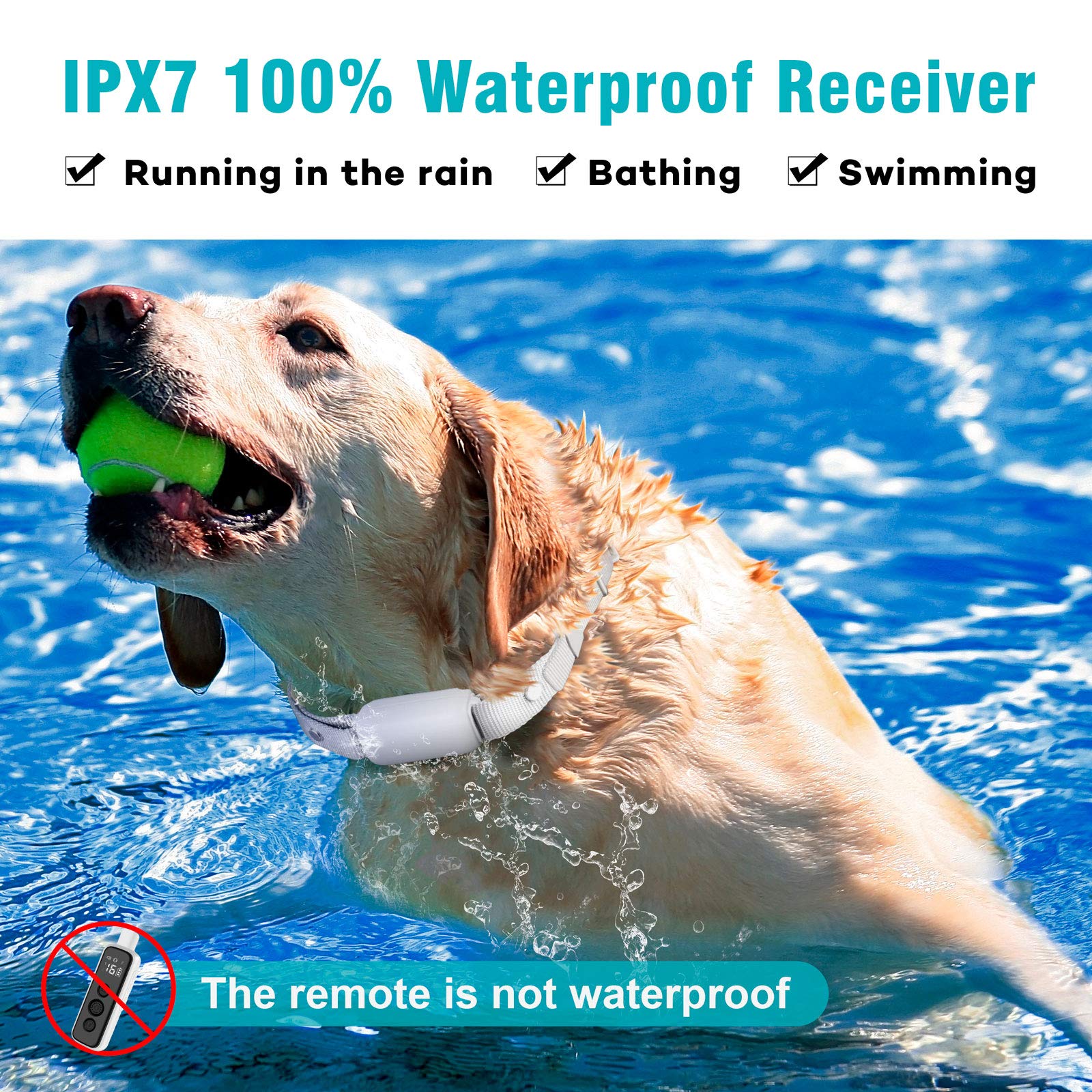 BOUSNIC IPX7 waterproof collar ready for outdoor use in rain.