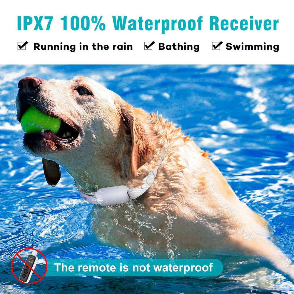BOUSNIC IPX7 waterproof collar ready for outdoor use in rain.