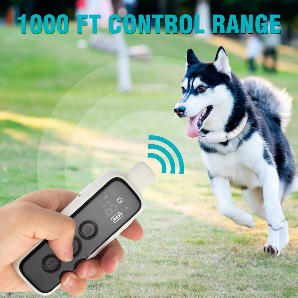 BOUSNIC rechargeable battery system with quick charging for long training sessions.