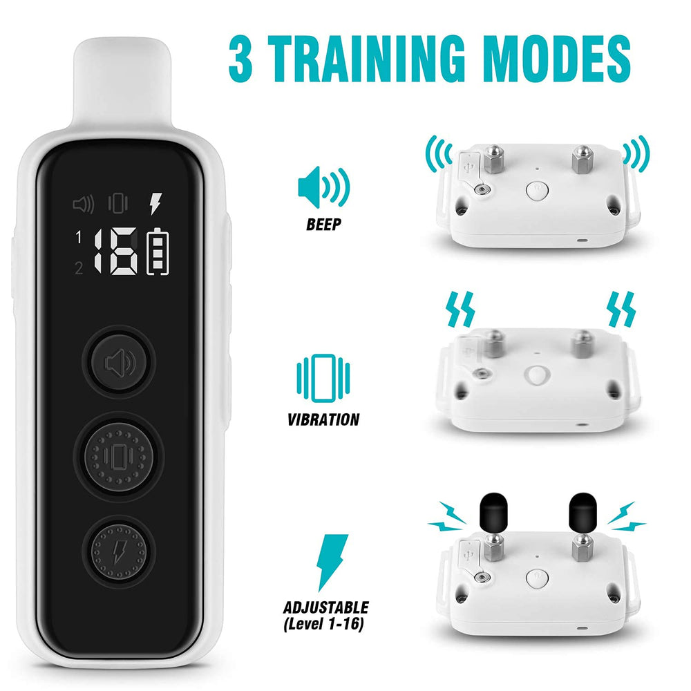 BOUSNIC ergonomic remote control enabling precise training sessions.
