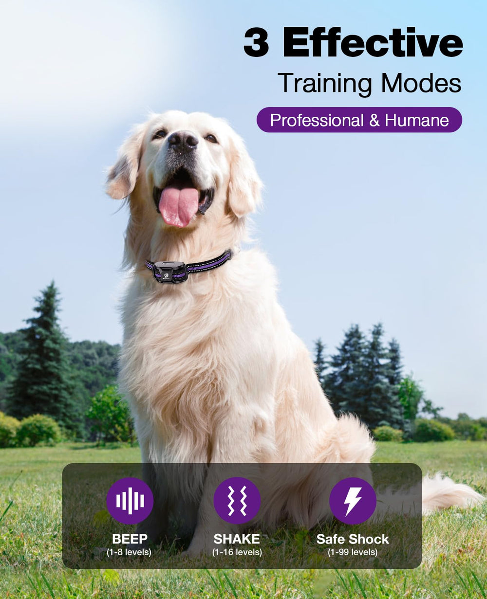 Bousnic remote training controller shown for easy on-the-go corrections.