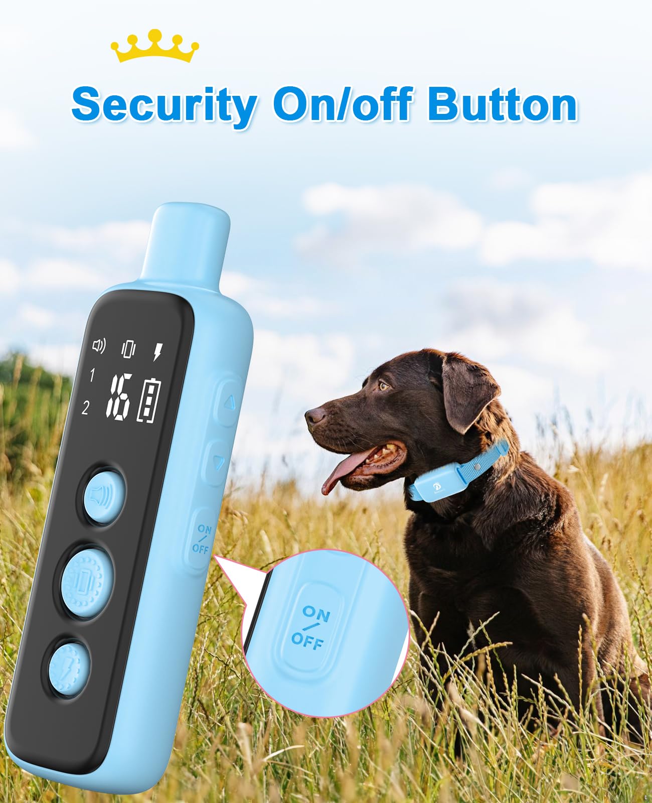 Bousnic dual dog training setup with two collars and remote