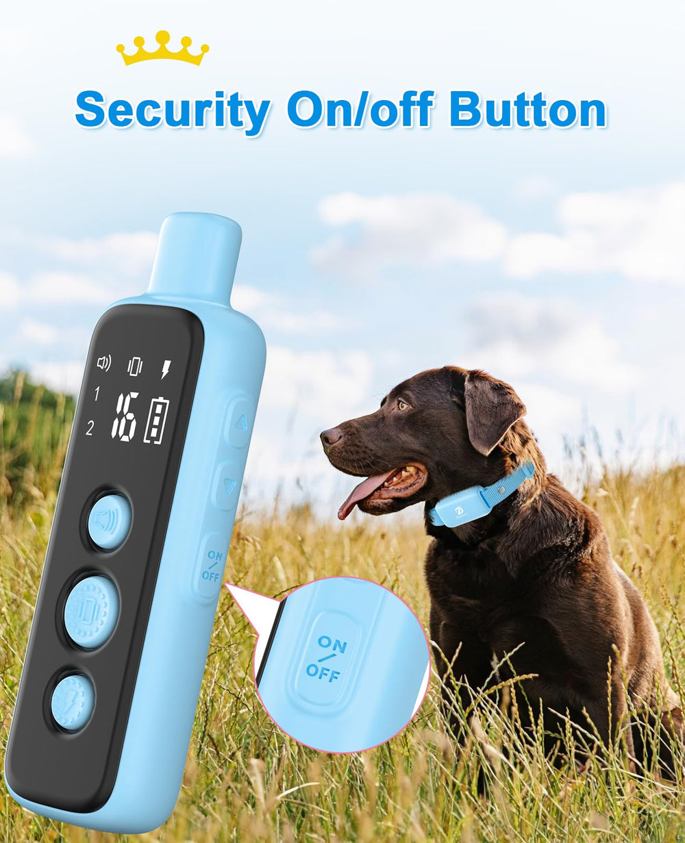 Bousnic dual dog training setup with two collars and remote