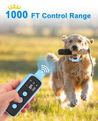 Bousnic blue collar worn by a dog during outdoor training