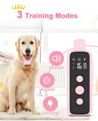 Bousnic remote control ready for long-range training sessions and dual-dog setups.