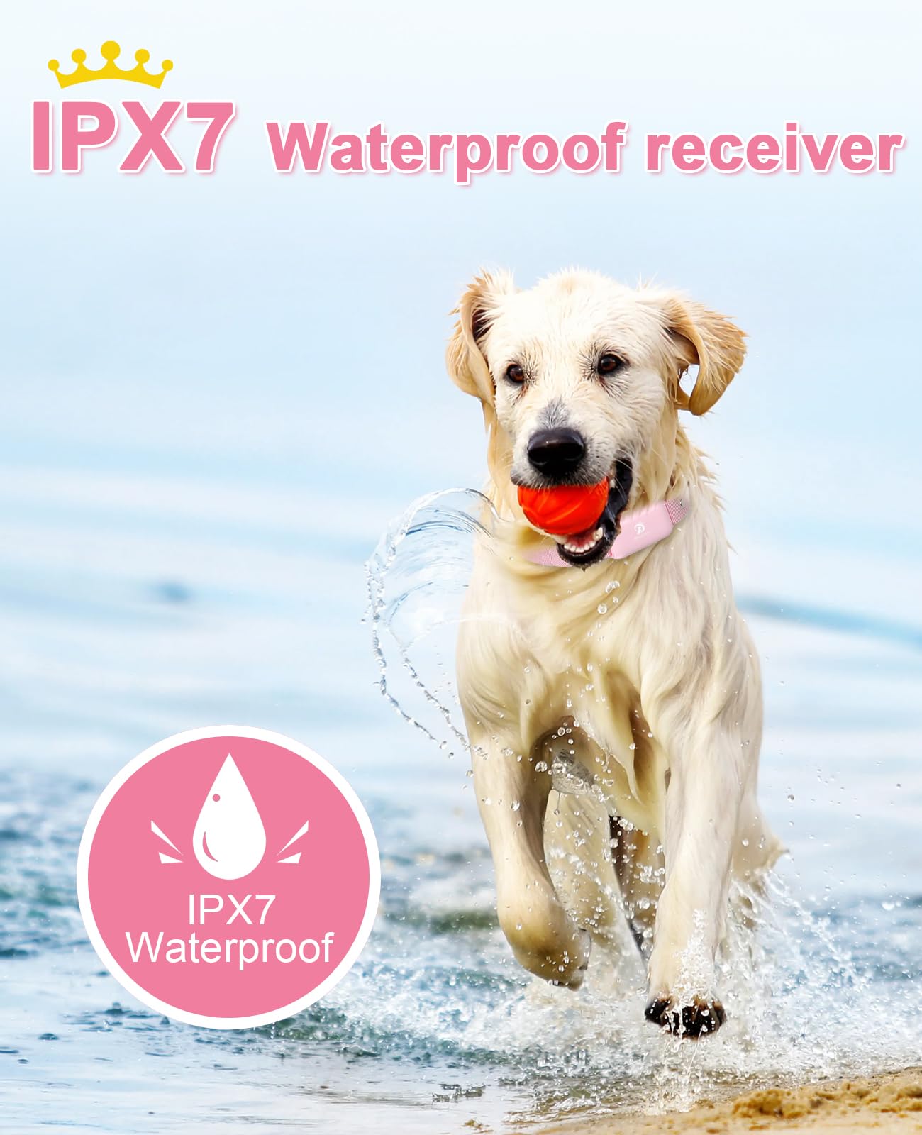 Bousnic waterproof IPX7 collar ideal for outdoor adventures and rain.