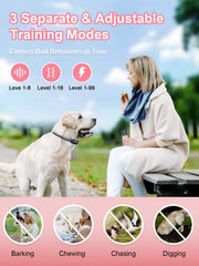 BOUSNIC waterproof receiver for all-weather training.