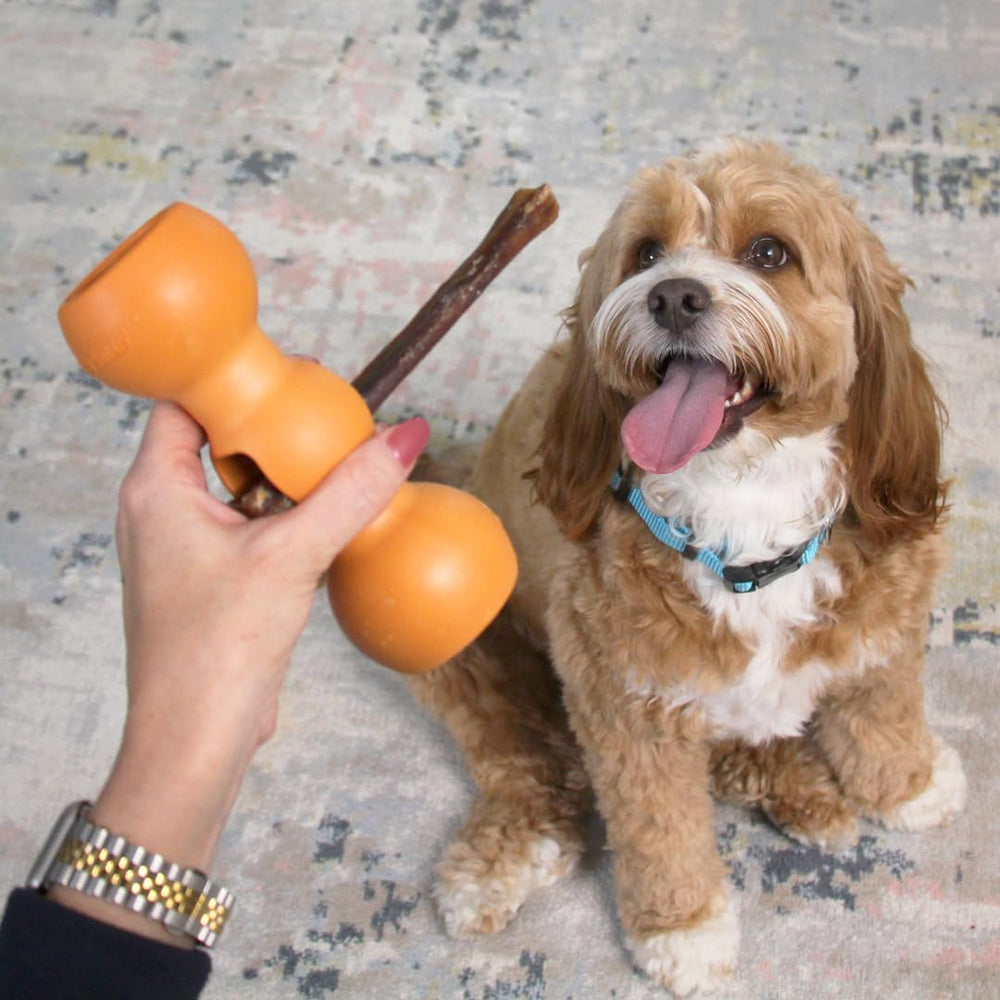 Bow Wow Labs Buddy safety device veterinarians recommend for safer chewing sessions.