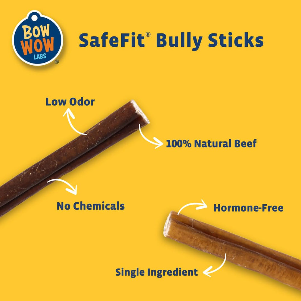 Bow Wow Labs dog chewing a 6-inch bully stick for long-lasting entertainment.