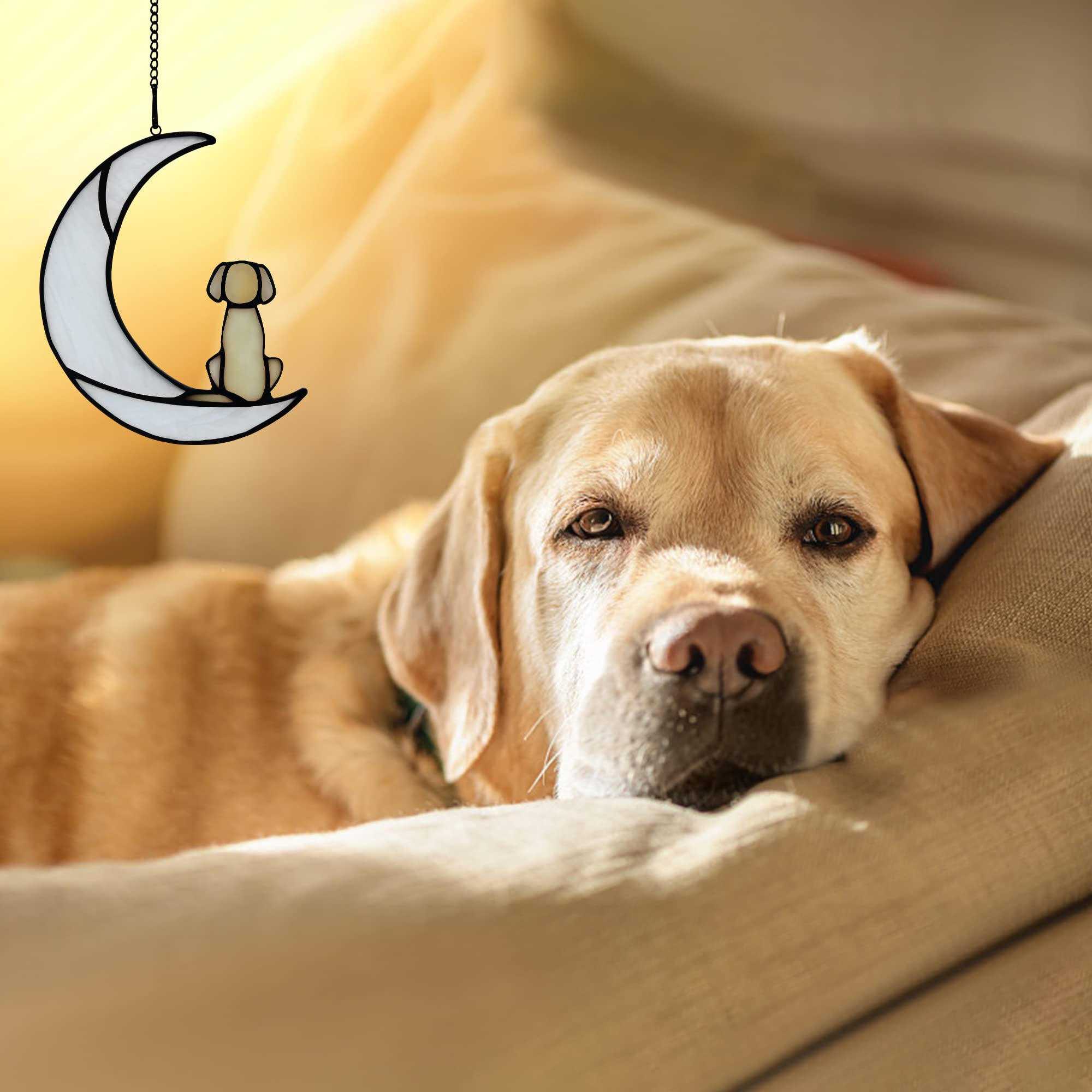 BOXCASA sunlit dog suncatcher glows when sunlight passes through colors