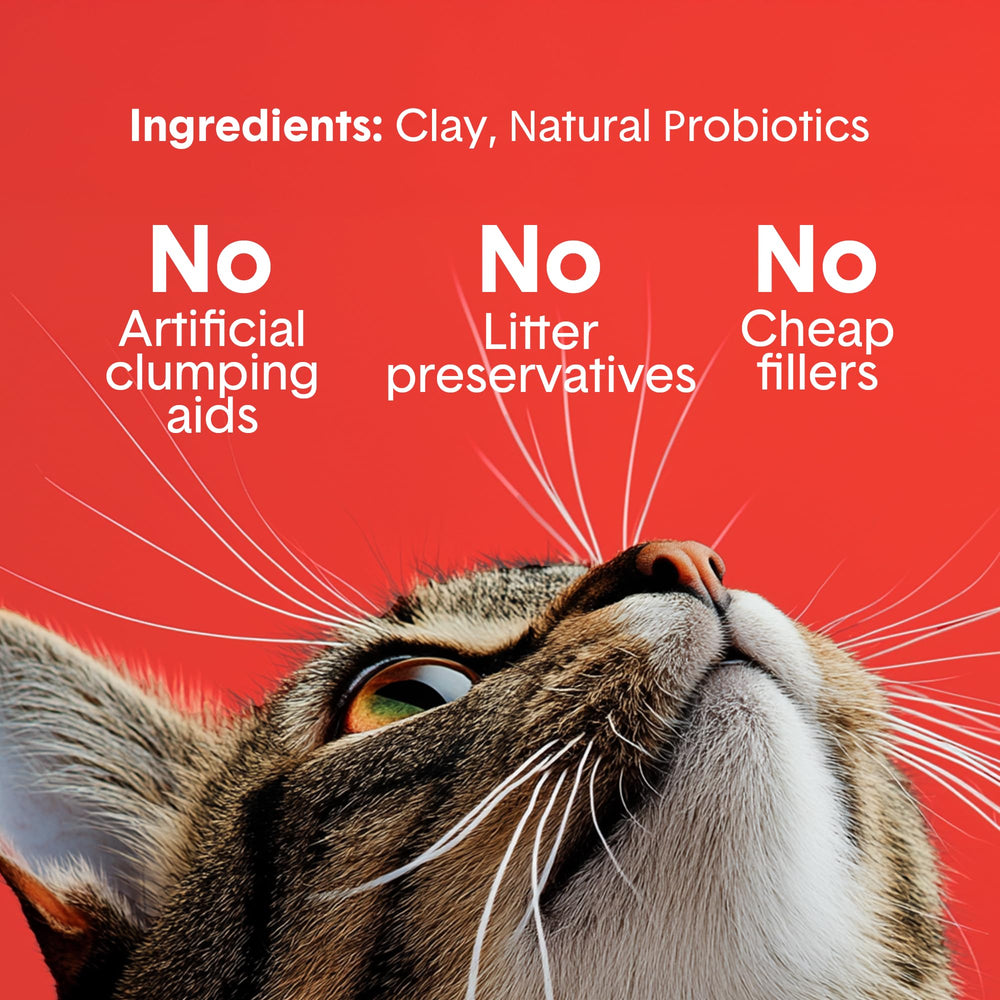 Boxie Extra Strength probiotic odor control showcases natural odor reduction.