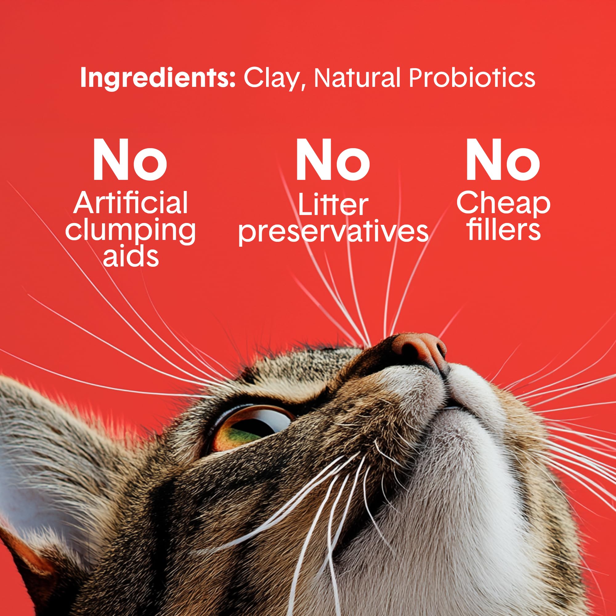Boxiecat 99.9% dust-free formula reduces tracking and mess.