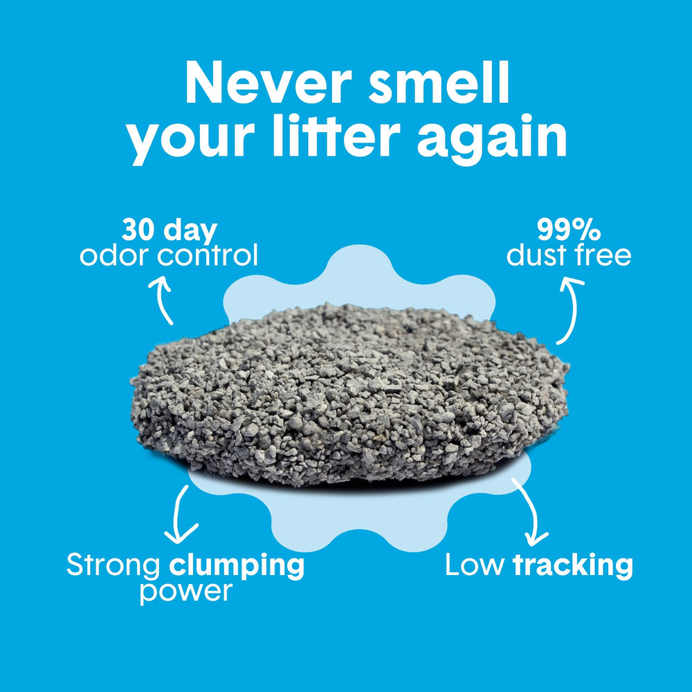 Boxiecat 99.9% dust-free formula reduces tracking and mess.