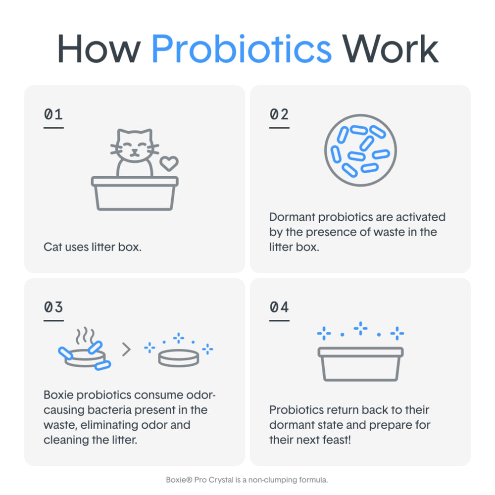 Probiotics help reduce bacteria in the litter box for a cleaner box.