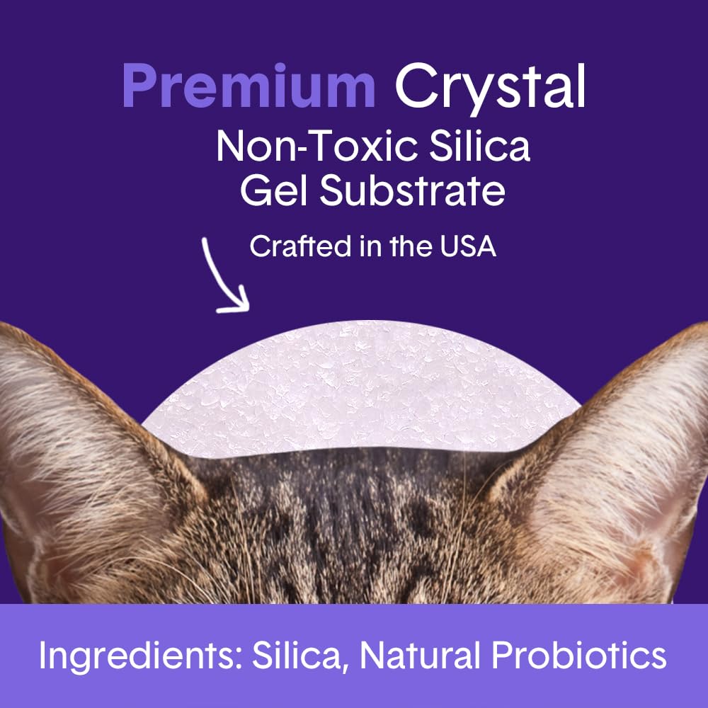Dust-free crystal litter provides a tidy, low-dust experience.