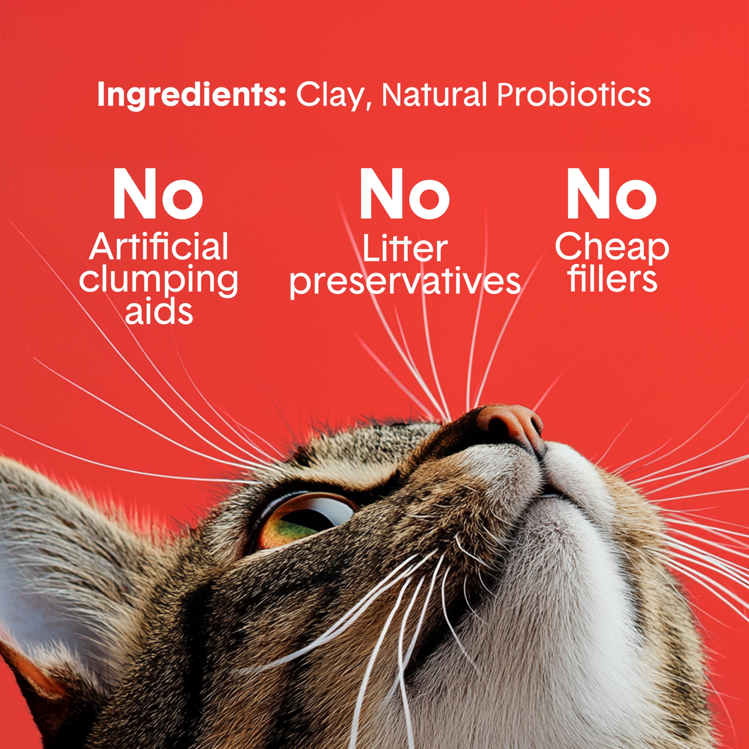 Boxiecat dust-free litter minimizes tracking for a tidier home.