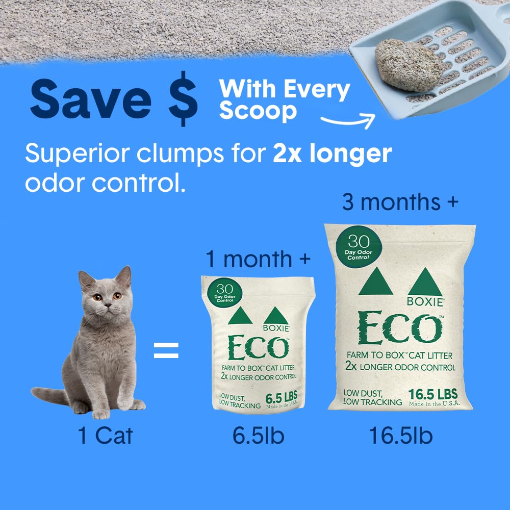 Boxiecat Eco aroma-neutral litter keeps homes fresh.