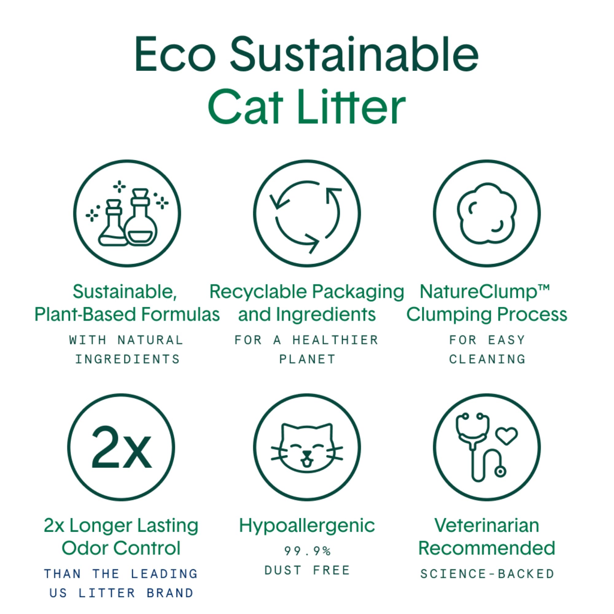 Boxiecat Eco natural clumping forming a hard scoop-ready patch.