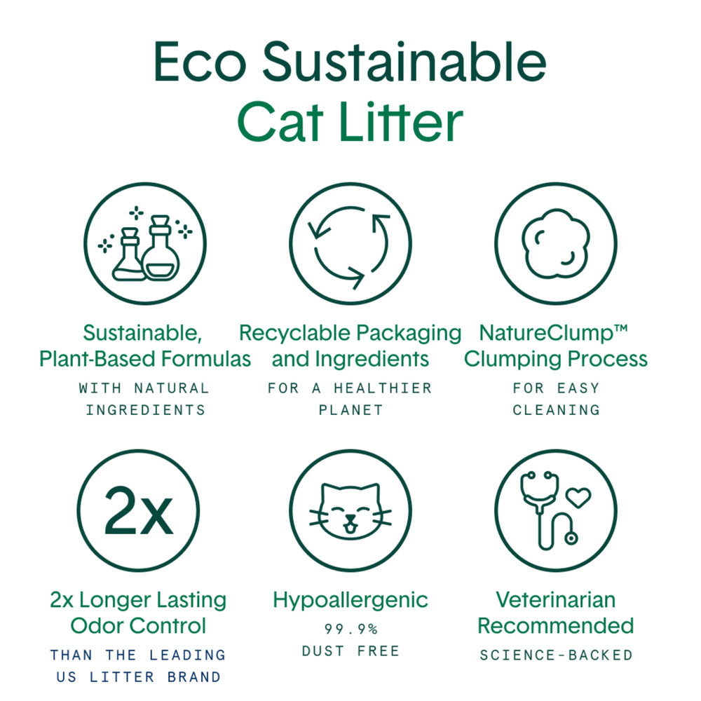 Boxiecat Eco natural clumping forming a hard scoop-ready patch.