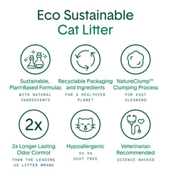 Boxiecat Eco natural clumping forming a hard scoop-ready patch.