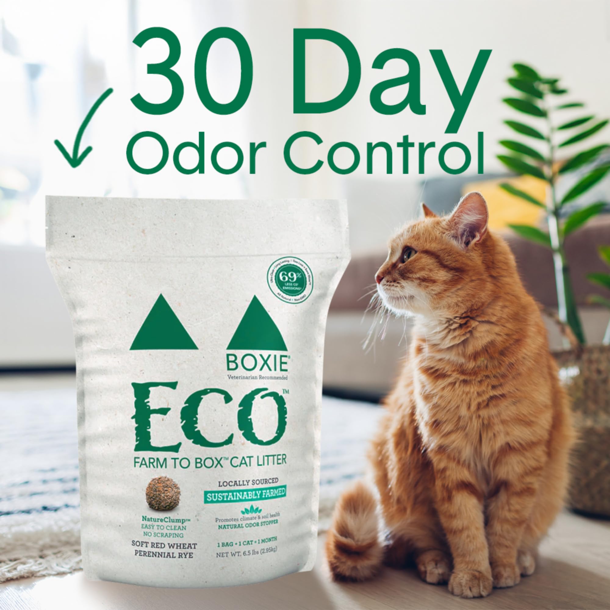 Boxiecat Eco plant-based odor stopper close-up highlighting natural odor blockers.