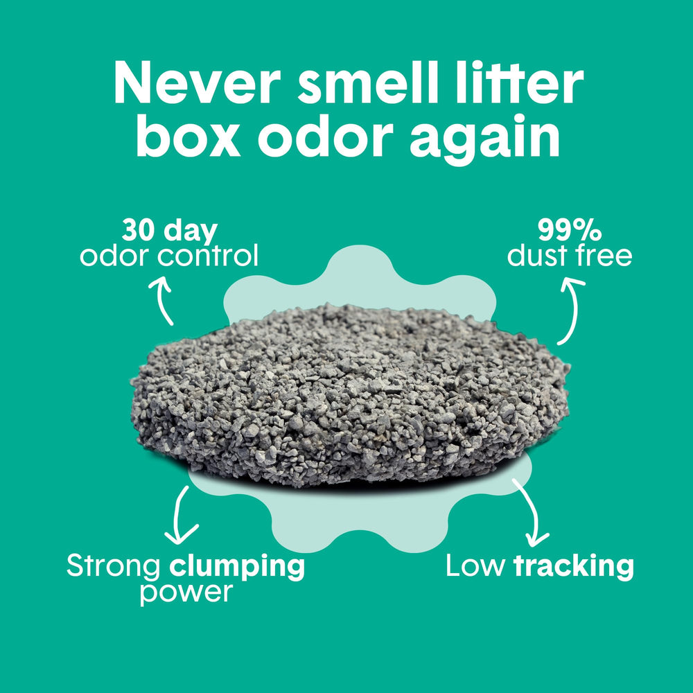 Boxiecat Gently Scented clumps on top for easy scooping and mess-free maintenance.
