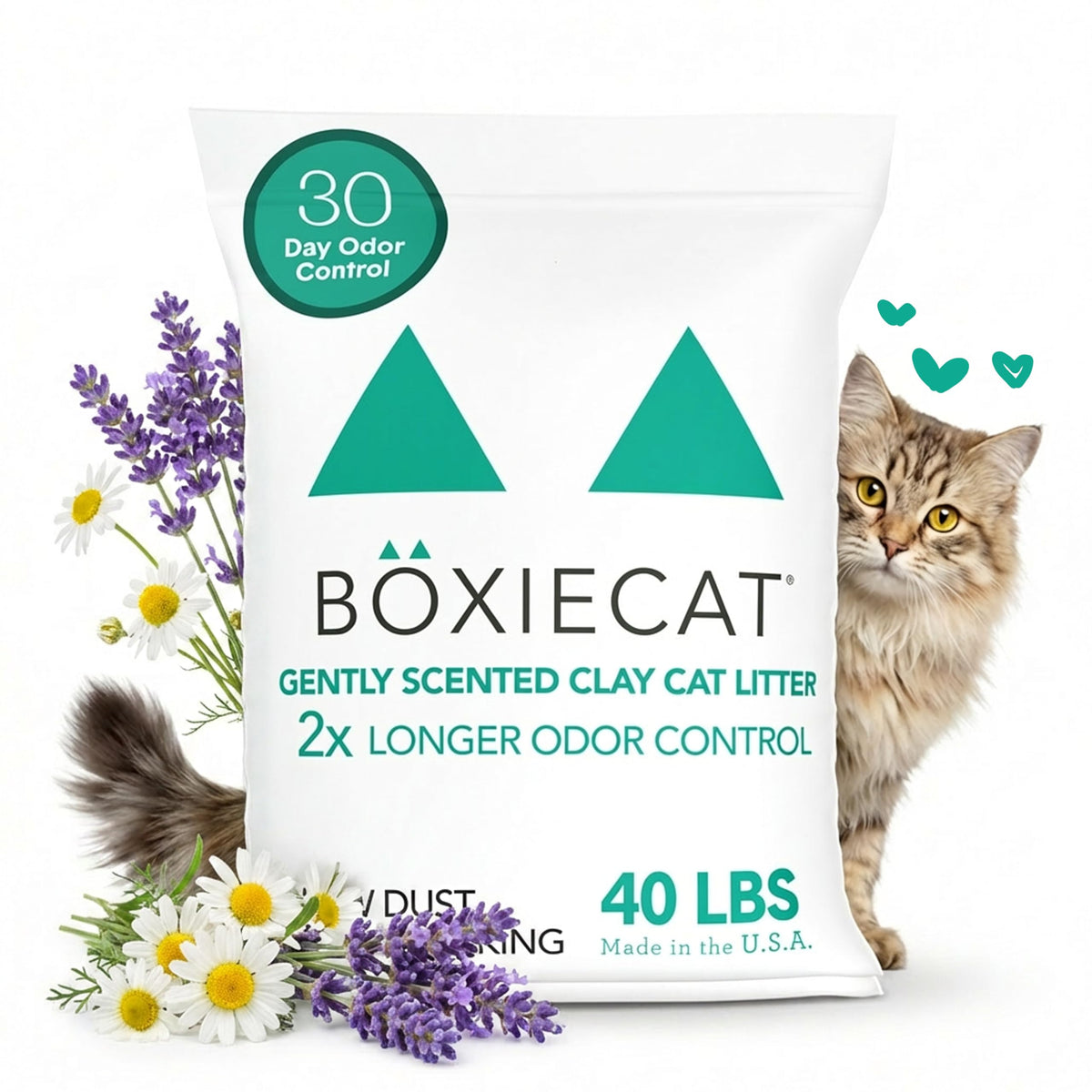 Boxiecat gently scented litter bag showing 40lb pack for odor control.