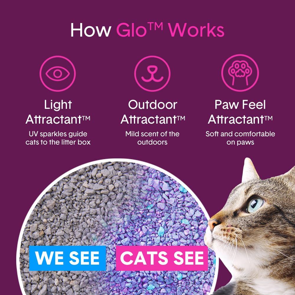 Boxiecat Glo desert-digging sensation feels natural for cats