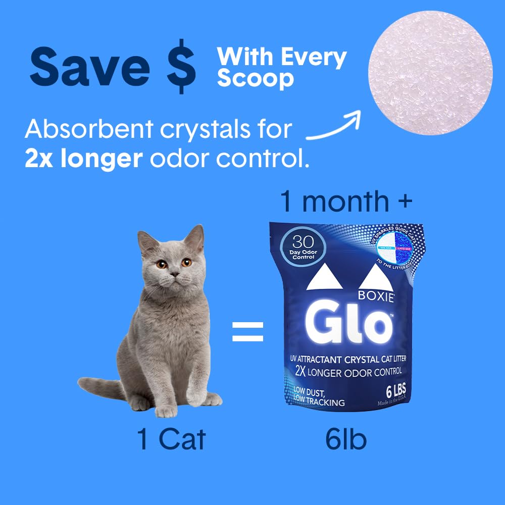 Boxiecat Glo non-clumping crystal litter simplifies cleanup