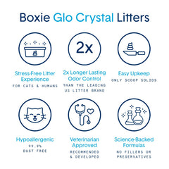 Boxiecat Glo soft granules resemble desert sand for natural digging